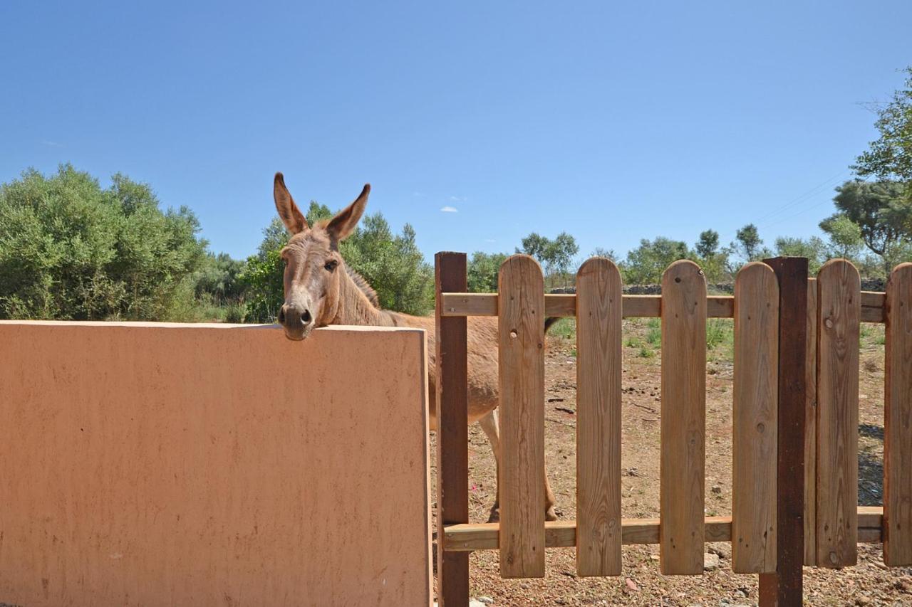 Hébergement de vacances Calderitx *
